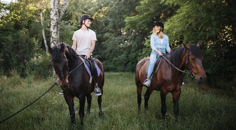 Кінна прогулянка скіфськими валами